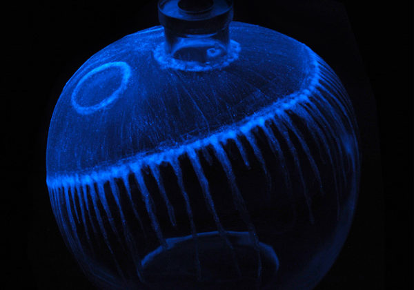 Nachtleuchtfarbe_Deko_DIY Nachtleuchtfarbe_Deko_DIY